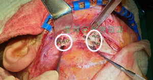 user_202105163741.jpg